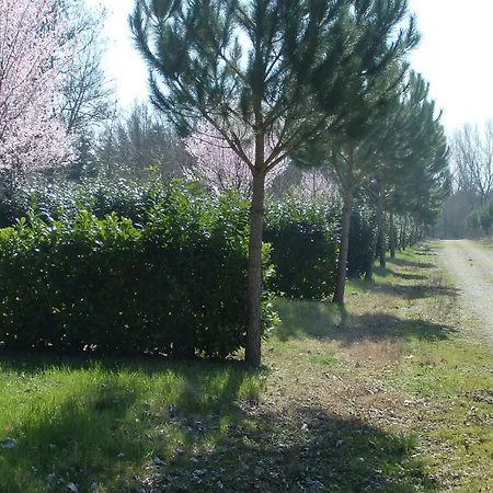 אתר קמפינג Village La Chiocciola Capannole