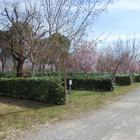 Κάμπινγκ Village La Chiocciola *