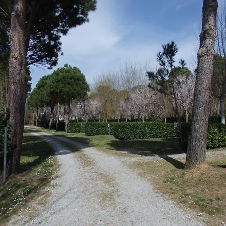 Village La Chiocciola Κάμπινγκ Capannole