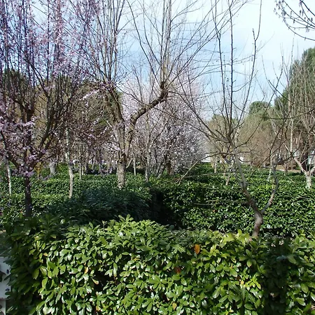 Village La Chiocciola *