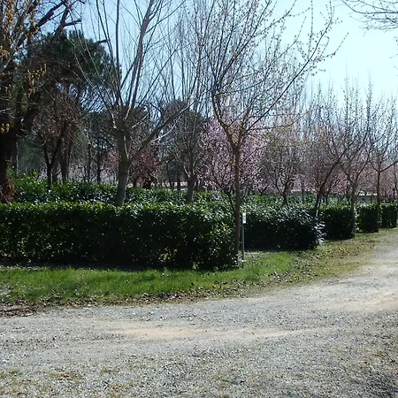 אתר קמפינג Village La Chiocciola *
